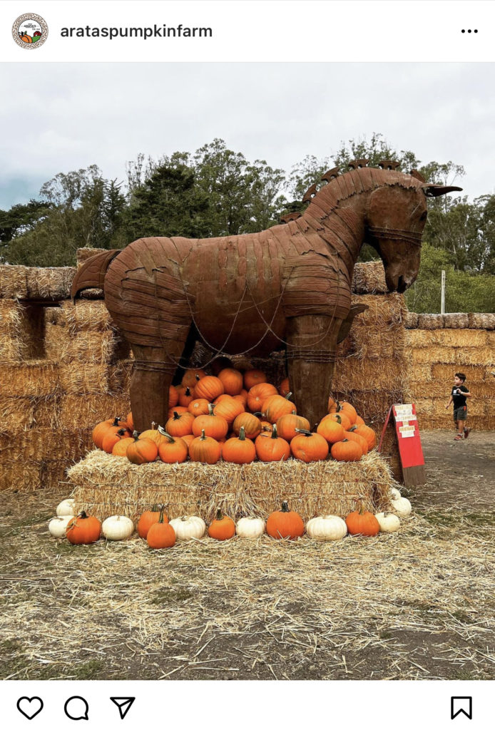Arata's Pumpkin Farm, Half Moon Bay