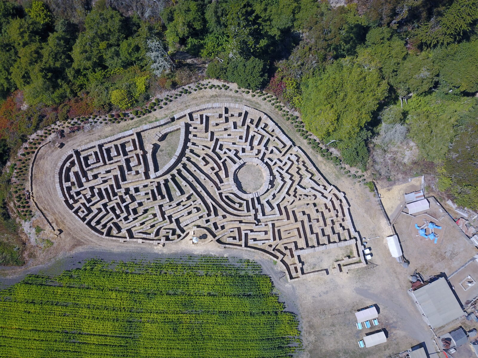 The Best Bay Area Pumpkin Patches - Petrocelli Homes Realty Group